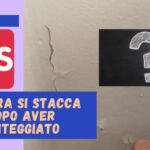 La sfida legale degli alberi d’alto fusto al confine: la giurisprudenza svela la verit&agrave;