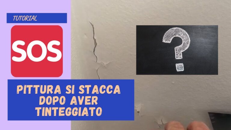 I segreti della vernice: scopri perch&eacute; si stacca dal muro