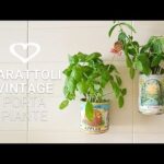 Piano verde per case: come trasformare 100 mq in un’oasi di piante