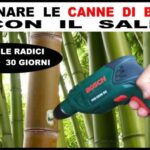Il Misterioso Caso dell’Azione di Spoglio: Quando il Cambio di Serratura Diventa Cruciale