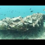 Cairo Montenotte: la distanza dal mare &egrave; il segreto del suo fascino!