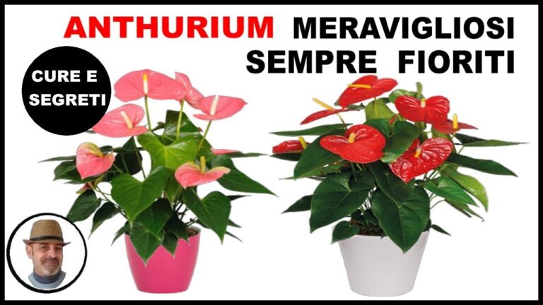 Fioriture ardenti: le magnifiche piante dal corolla rosso per il giardino