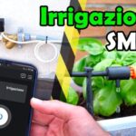 Cortile o giardino: quale scegliere per trasformare il tuo spazio esterno?