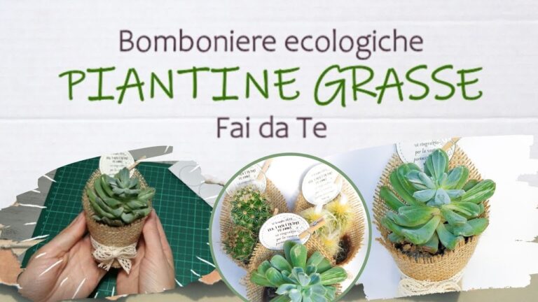 I segreti delle piantine aromatiche: regala una bomboniera profumata!
