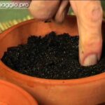 Scopri l’eleganza dell’entrata cancello con tettoia: una soluzione funzionale e di stile