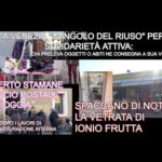 La verità sul pellet di girasole: opinioni e sorprese
