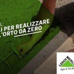 10 trucchi facili e veloci per la manutenzione del giardino condominiale fai da te