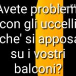 Tende da sole fotovoltaiche: il risparmio energetico che ti sorprender&agrave;!