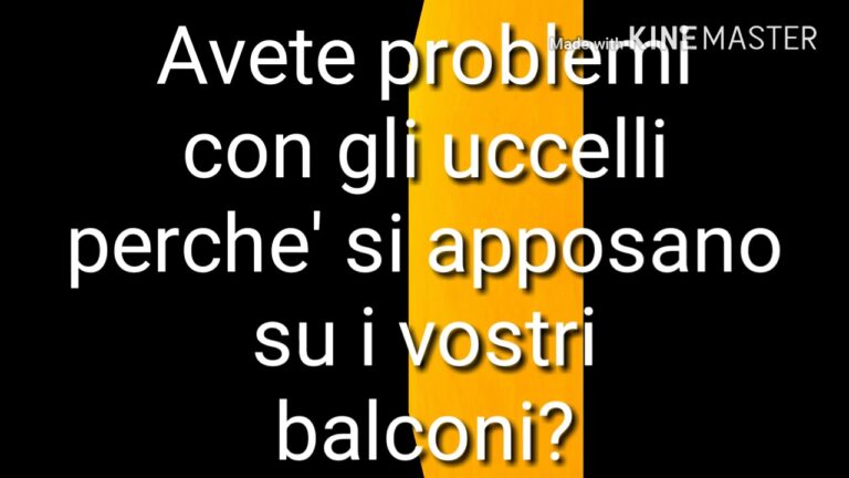 No pi&ugrave; passeri sul balcone: 5 efficaci modi per tenerli lontani!