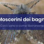 Innovazione nel mobile bagno: la rivoluzione della carta da zucchero
