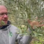 Rivela l’insospettato vantaggio degli spessori minimi dei muri interni: scopri come ottimizzare gli spazi!
