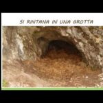 Articolo 4: Tutto ci&ograve; che devi sapere sulla Legge 392/78