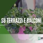 La magia notturna della Terrazza Posillipo: un incanto napoletano sotto le stelle