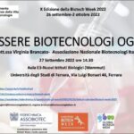 Segreti svelati: La guida definitiva per chiudere cassonetti tapparelle!