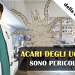 Oasi degli Animali San Carlo: Un Paradiso Nascosto per la Natura