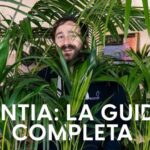 Risparmia energia con la caldaia ionica: scopri quanto consuma!