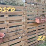 Cortile o giardino: quale scegliere per trasformare il tuo spazio esterno?