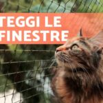 Libera da chi ti trattiene: Lascia andare chi vuole andarsene!