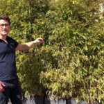 Cucine 3 metri con lavastoviglie: l’essenziale per spazi efficienti!