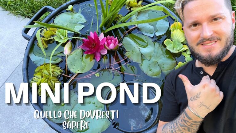 Il segreto per un terrazzo da sogno: un mini laghetto!